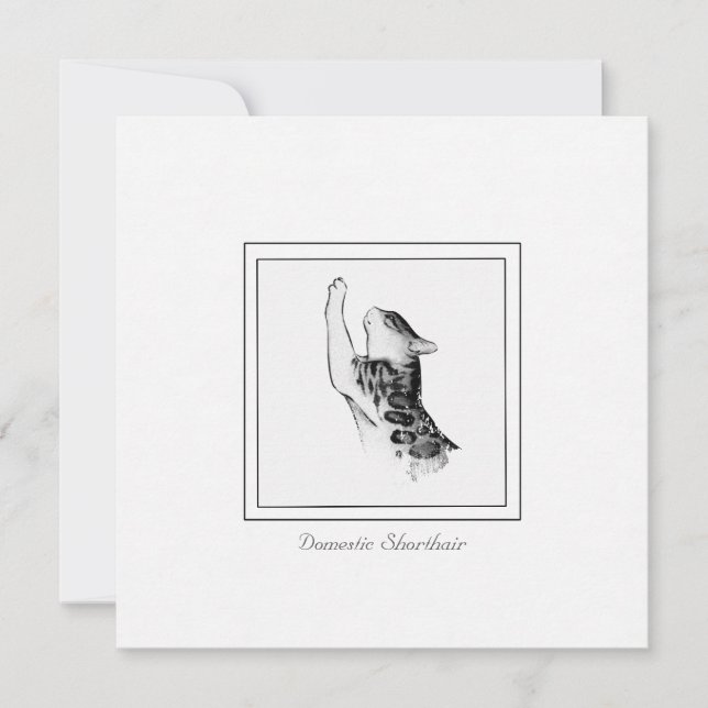 Cartão De Notas Giz de Gato Moderno e Esboço Preto e Branco (Frente)