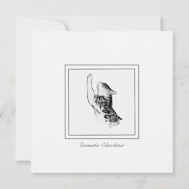 Cartão De Notas Giz de Gato Moderno e Esboço Preto e Branco