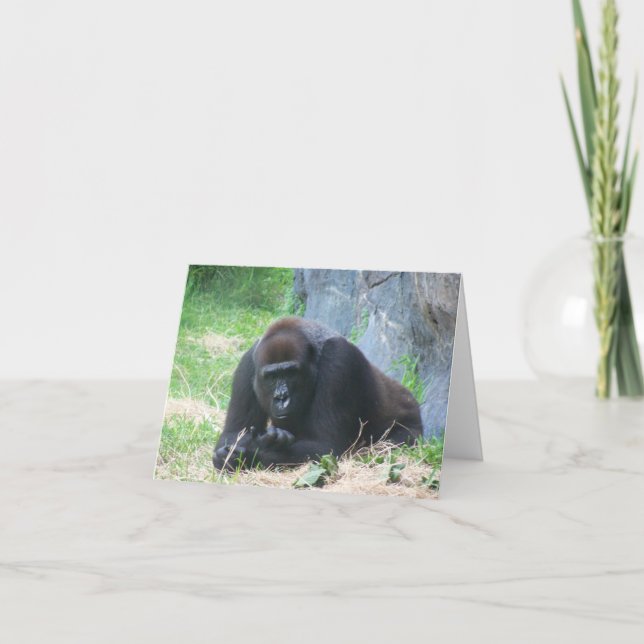 Cartão De Notas Gorila Negra, como vai o seu dia? (Frente)