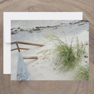 Cartão De Notas Grama Marinha e Duna de Areia Branca Praia Fotográ