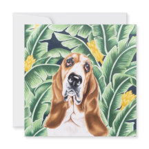 Hound Basset