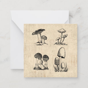 Cartão De Notas Ilustração de Arte Vintage Mushroom