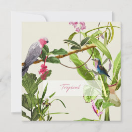 Cartão De Notas Ilustração tropical de papagaio rosa exótico