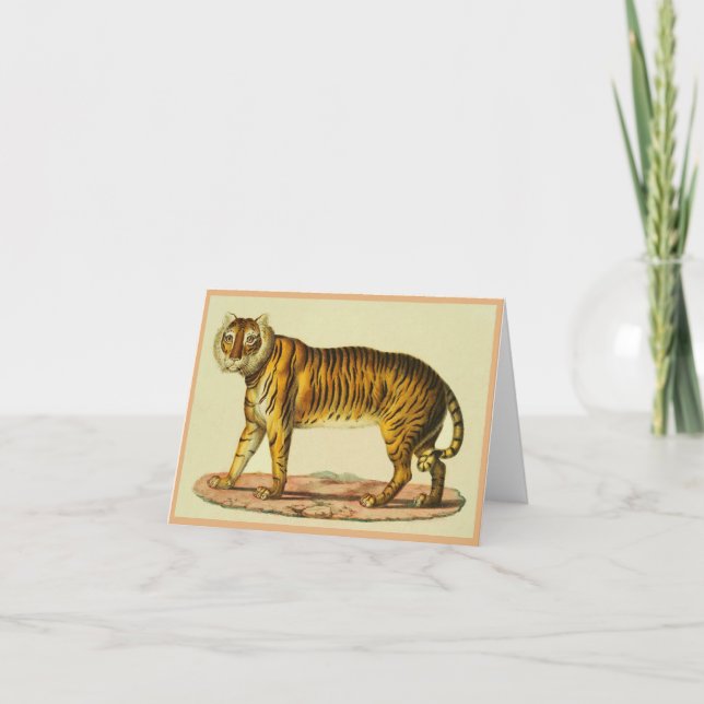 Cartão De Notas impressão de tigre 1824 (Frente)