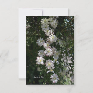 Cartão De Notas Incomum Enquanto Clematis