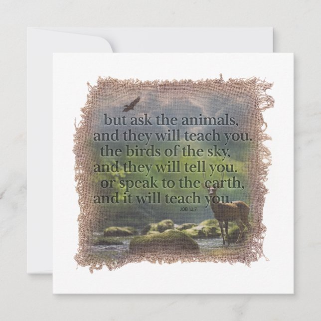 Cartão De Notas JOB 12:7 - Personalized Notecard (Frente)