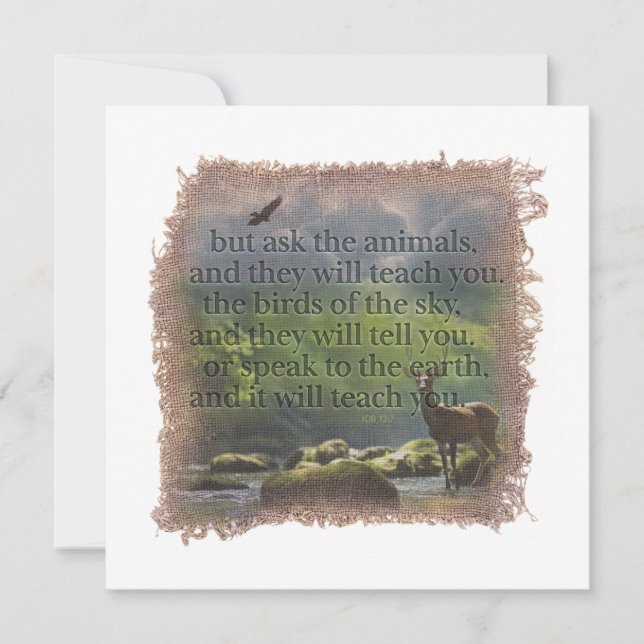 Cartão De Notas JOB 12:7 - Personalized Notecard (Frente)