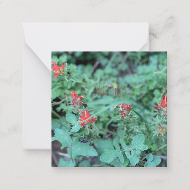 CARTÃO DE NOTAS JOLLY JULY (Frente)