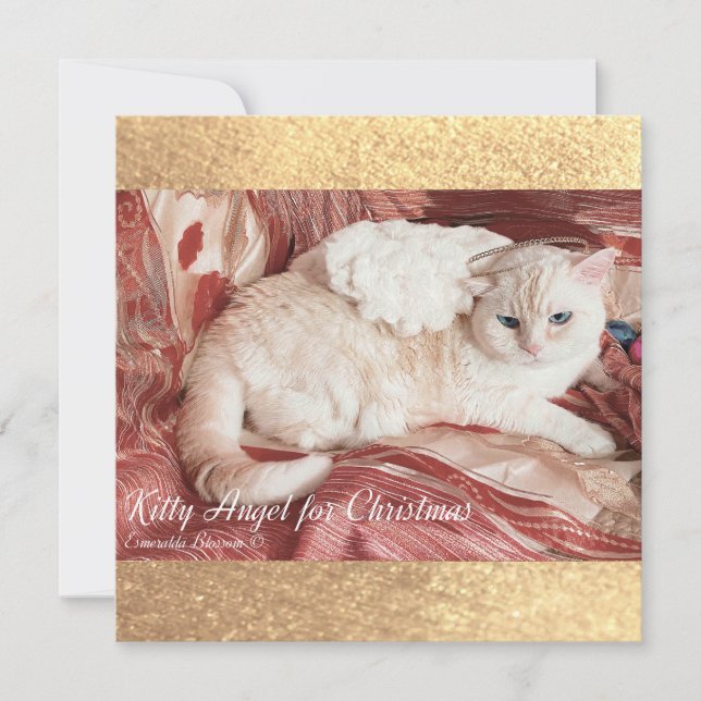 Cartão De Notas Kitty Angel para o Natal (Frente)