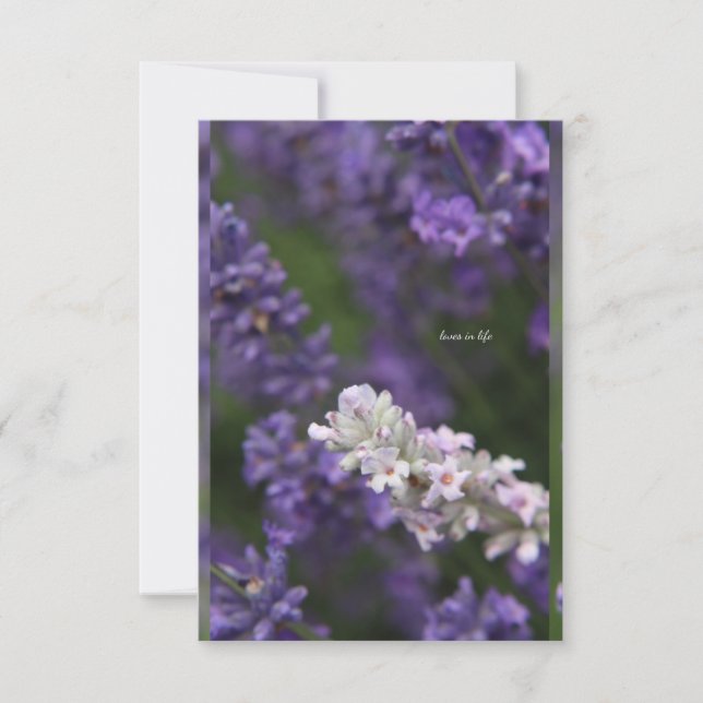 Cartão De Notas Lavanda branca e roxa com fundo (Frente)