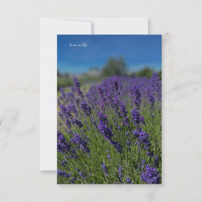 Cartão De Notas Lavanda e Céu Azul (Frente)