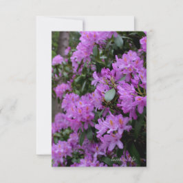 Cartão De Notas Lavanda Rhododendron