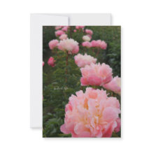 Linda Filha de Peões Rosa