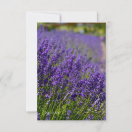 Cartão De Notas Linda linha Lavanda