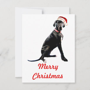 Cartão De Notas Lindo Great Dane com chapéu de Papai Noel