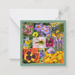 Cartão De Notas Lindos Flores de Verão e Colagem de Insetos