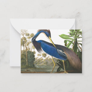 Cartão De Notas Louisiana Heron por John James Audubon