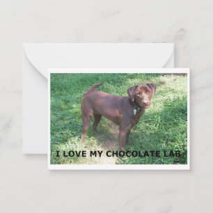 Cartão De Notas LR chocolate lab amor com imagem