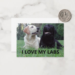 Cartão De Notas LR I Love My Labs with picture