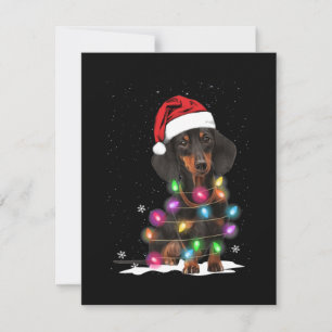 Cartão De Notas Luzes De Natal Dachshund Com Neve