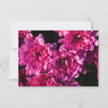 Mães de Outono Rosa