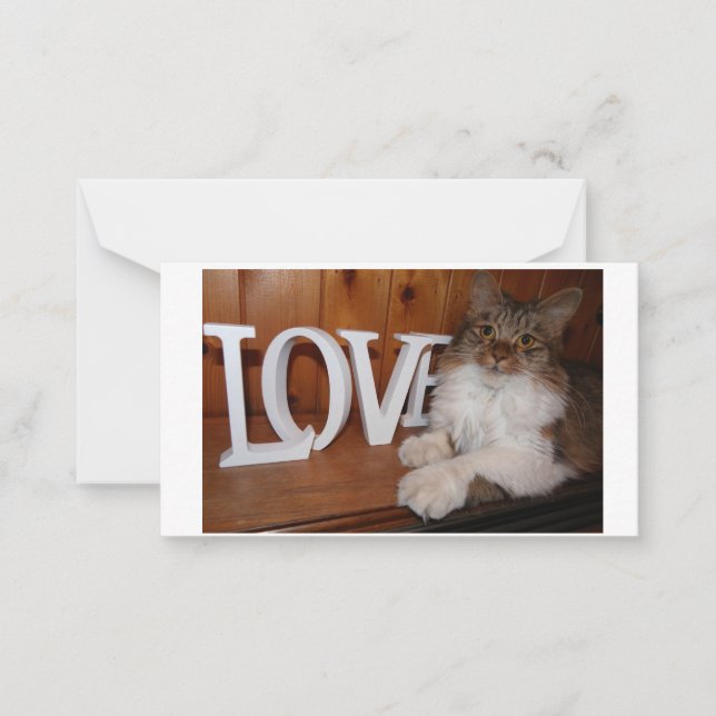 Cartão De Notas Maine Coon Love cat 3.5 x 2 (Frente)