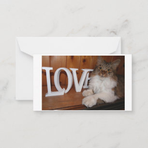 Cartão De Notas Maine Coon Love cat 3.5 x 2