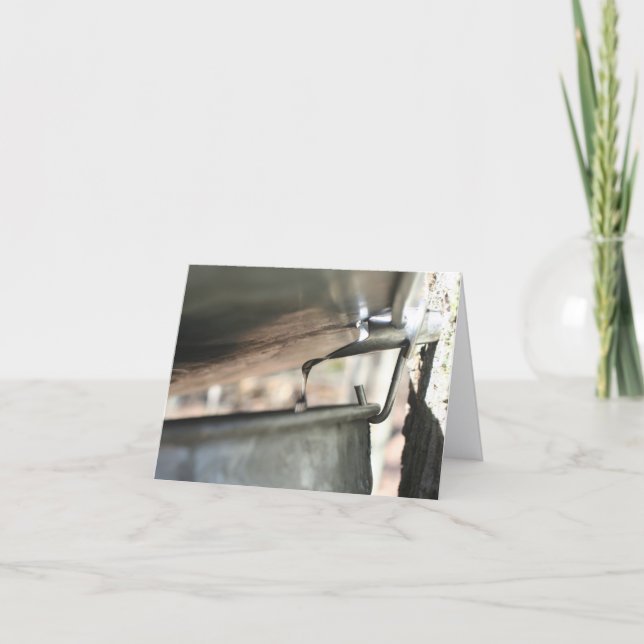 Cartão De Notas Maple Syrup Sap Running Nature Personalized (Frente)