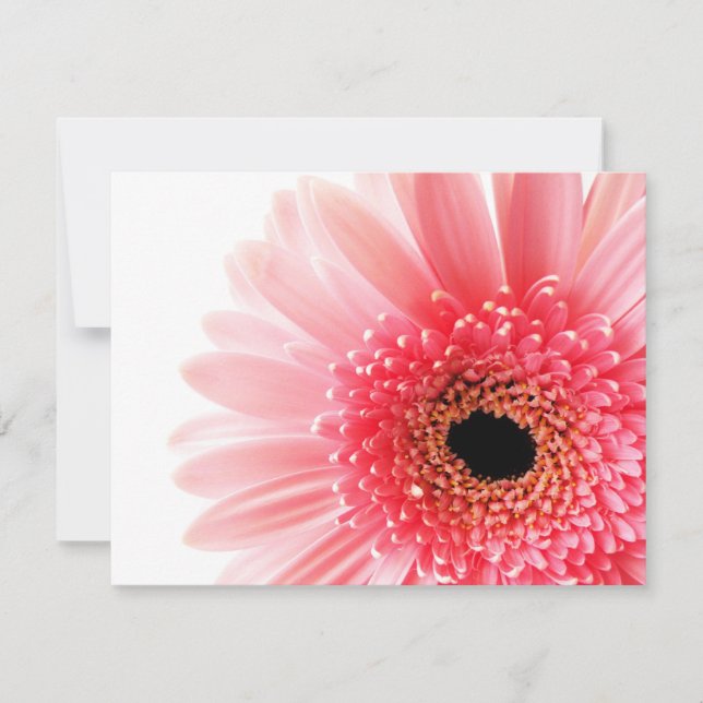 Cartão De Notas Margarida Gerbera Rosa (Frente)