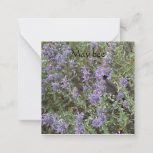 Cartão De Notas May Bee