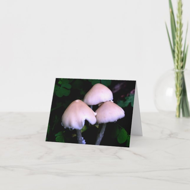 Cartão De Notas Midnight Mushrooms Nature Photography  (Frente)