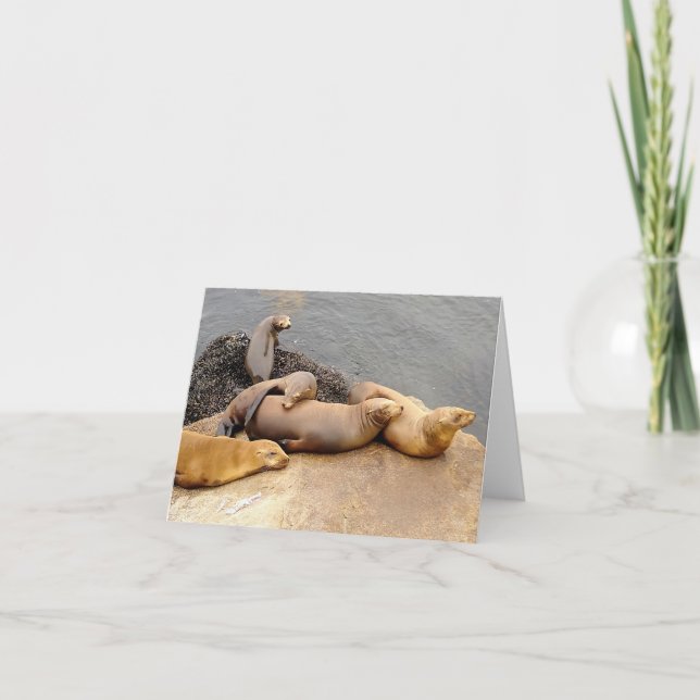 Cartão De Notas Nápoles Leões do Mar do Bebê (Frente)