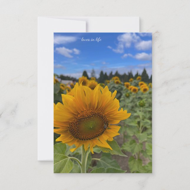 Cartão De Notas Nodding Sunflower (Frente)