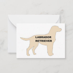 Cartão De Notas nome silhueta amarelo LR