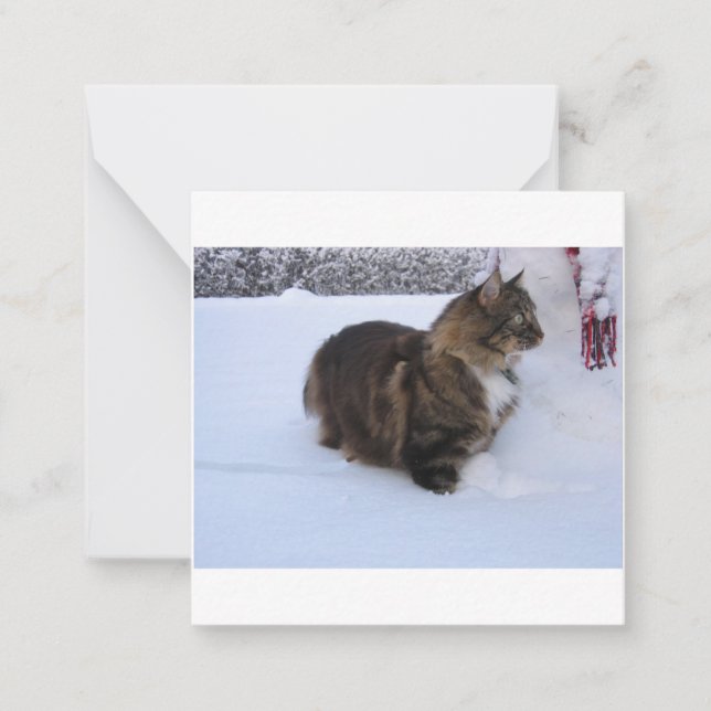 Cartão De Notas norwegian forest cat in snow (Frente)