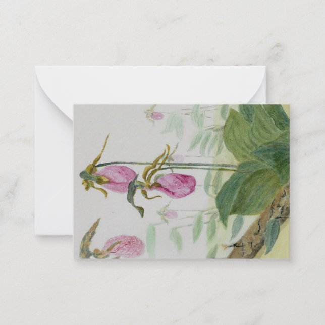 Cartão De Notas Notecard Flat Lady Slipper Rosa (Frente)