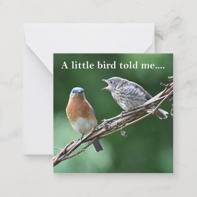 Cartão De Notas Notícias (Frente)