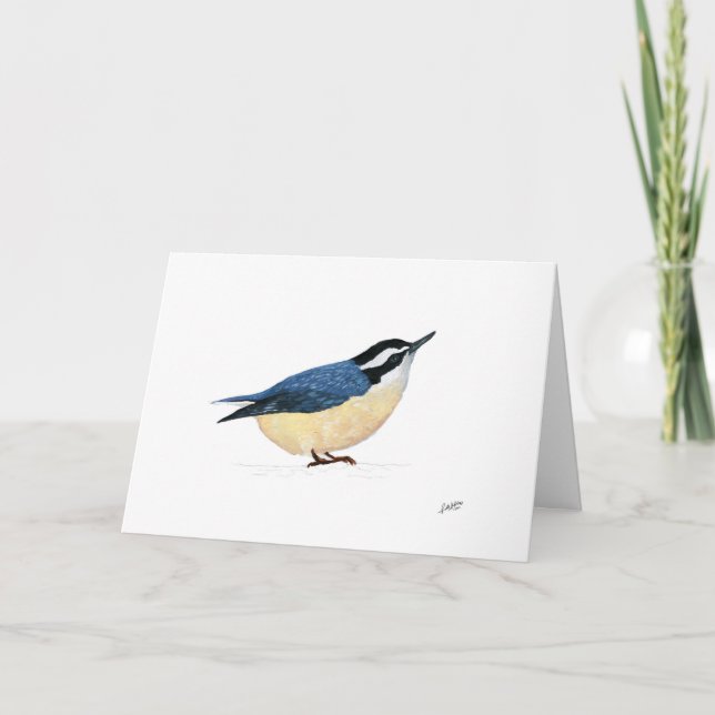 Cartão De Notas Nuthatch de peito vermelho (Frente)