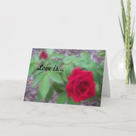 Cartão De Notas "O Amor É", barata vazio dentro