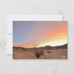 Cartão De Notas Ocotillo Sunrise