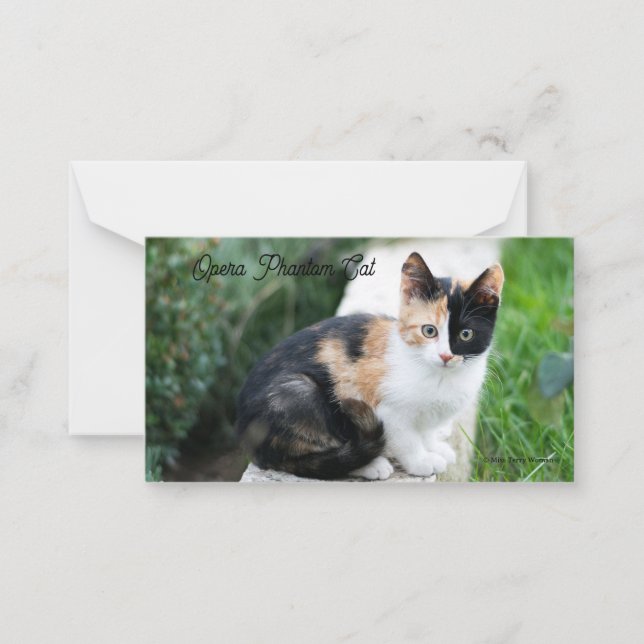 Cartão De Notas Ópera - Fantasma (Frente)