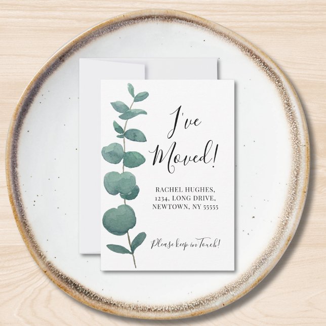 Cartão De Notas Orçamento Mini que movi o lançamento do Eucalyptus (Criador carregado)