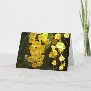 Cartão De Notas Orquídeas Amarelas Penduradas Flores Tropicais