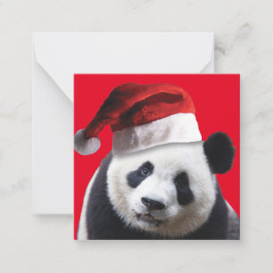 Cartão De Notas Panda Bear Santa Claus