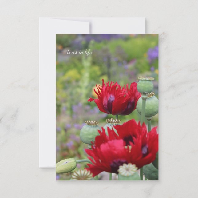 Cartão De Notas Papagaios Vermelhos no Jardim (Frente)