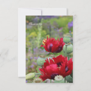 Cartão De Notas Papagaios Vermelhos no Jardim