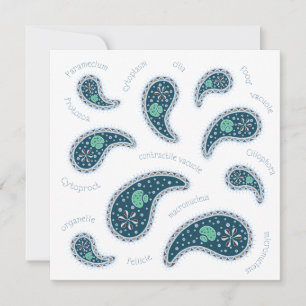 Cartão De Notas Paramecia Paisley Personalizable Biology No
