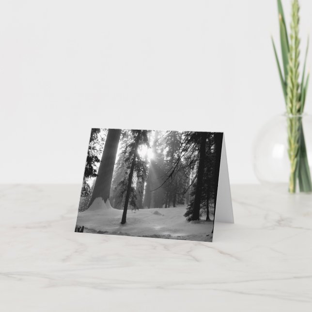 Cartão De Notas Parque Nacional da Neve de inverno em Kings Canyon (Frente)