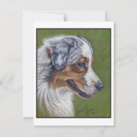 Pastor australiano, Blue Merle,