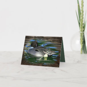 Cartão De Notas Pato No Lago